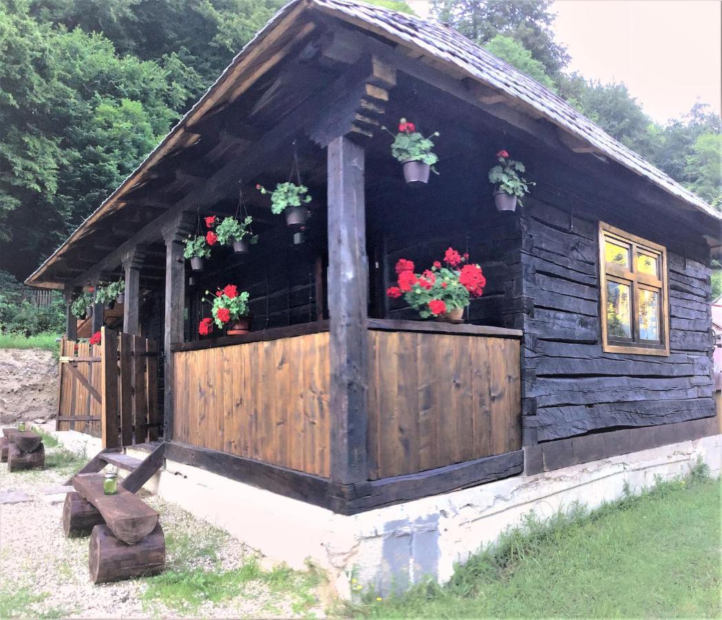 Casuta Din Valea Regilor Villa Gredistye Kültér fotó
