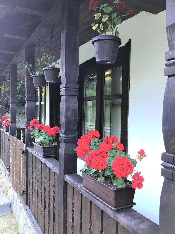 Casuta Din Valea Regilor Villa Gredistye Kültér fotó