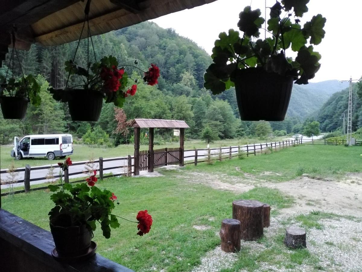 Casuta Din Valea Regilor Villa Gredistye Kültér fotó