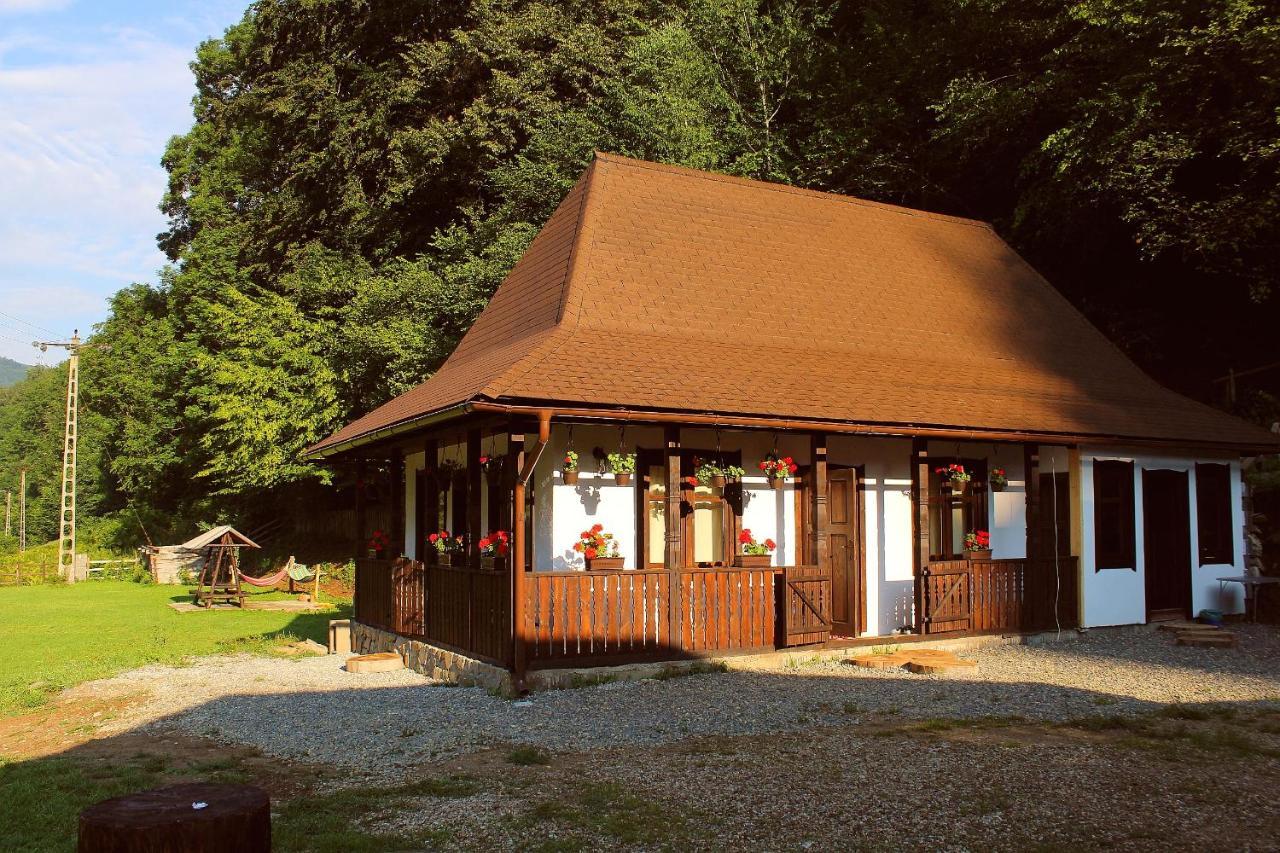 Casuta Din Valea Regilor Villa Gredistye Kültér fotó
