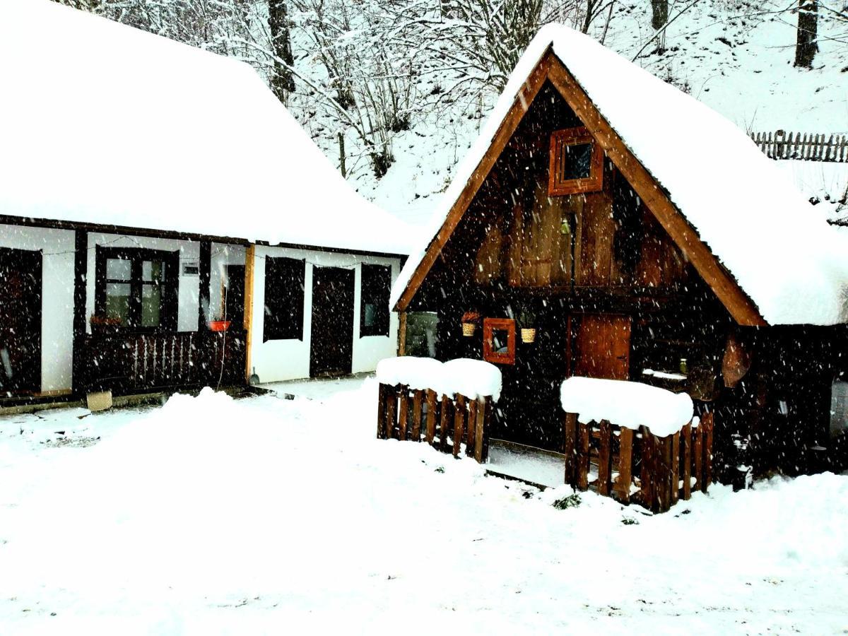 Casuta Din Valea Regilor Villa Gredistye Kültér fotó